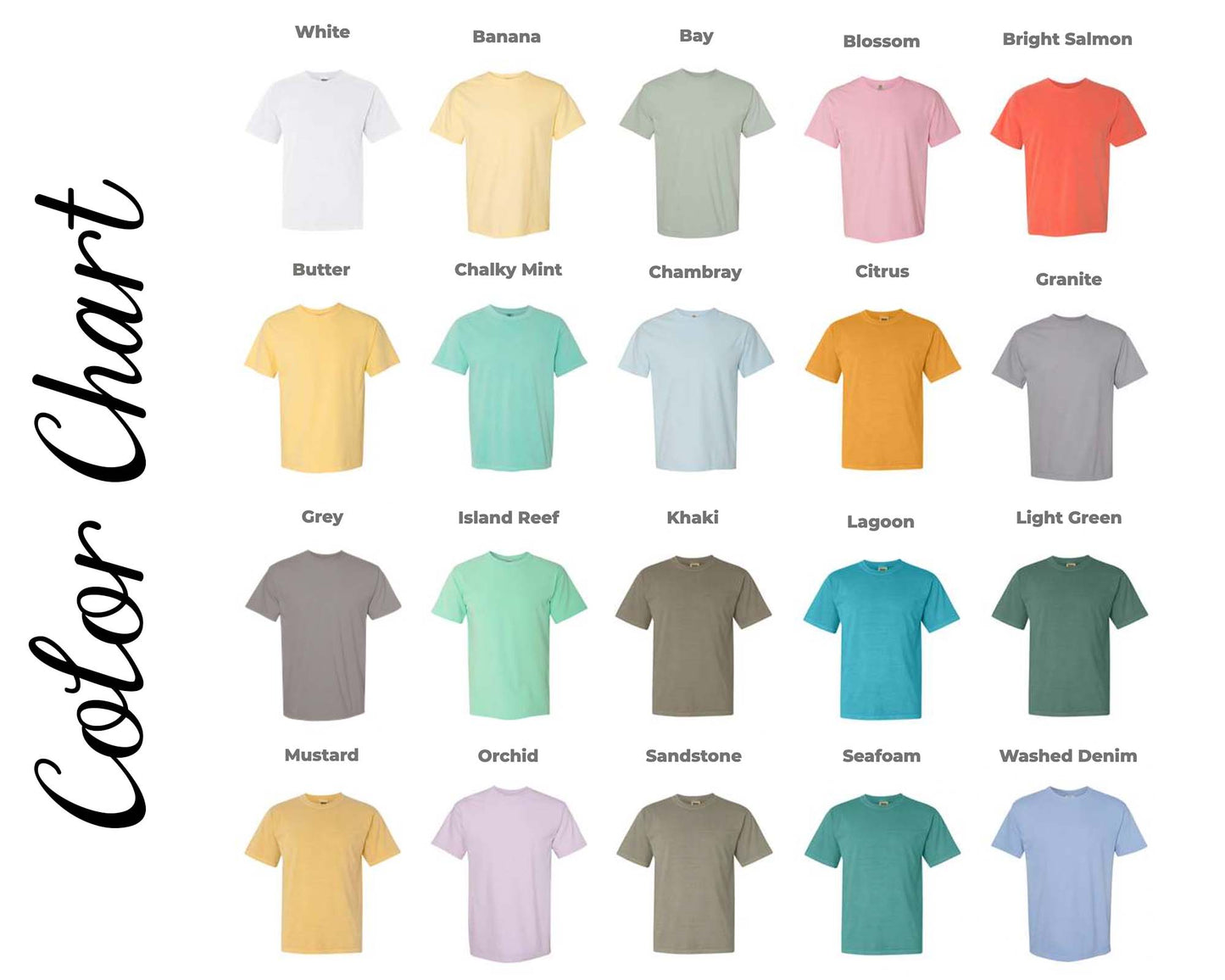 Comfort Colors Shirts, Unisex Heavyweight Tees, LIGHT Colors: Island Reef / XL
