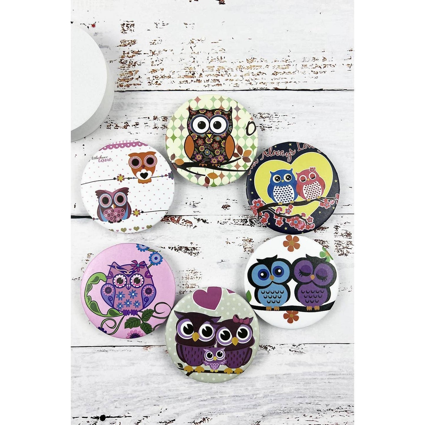 ROUND OWL THEME PRINT MIRROR: ASSORTED / ONE(12)