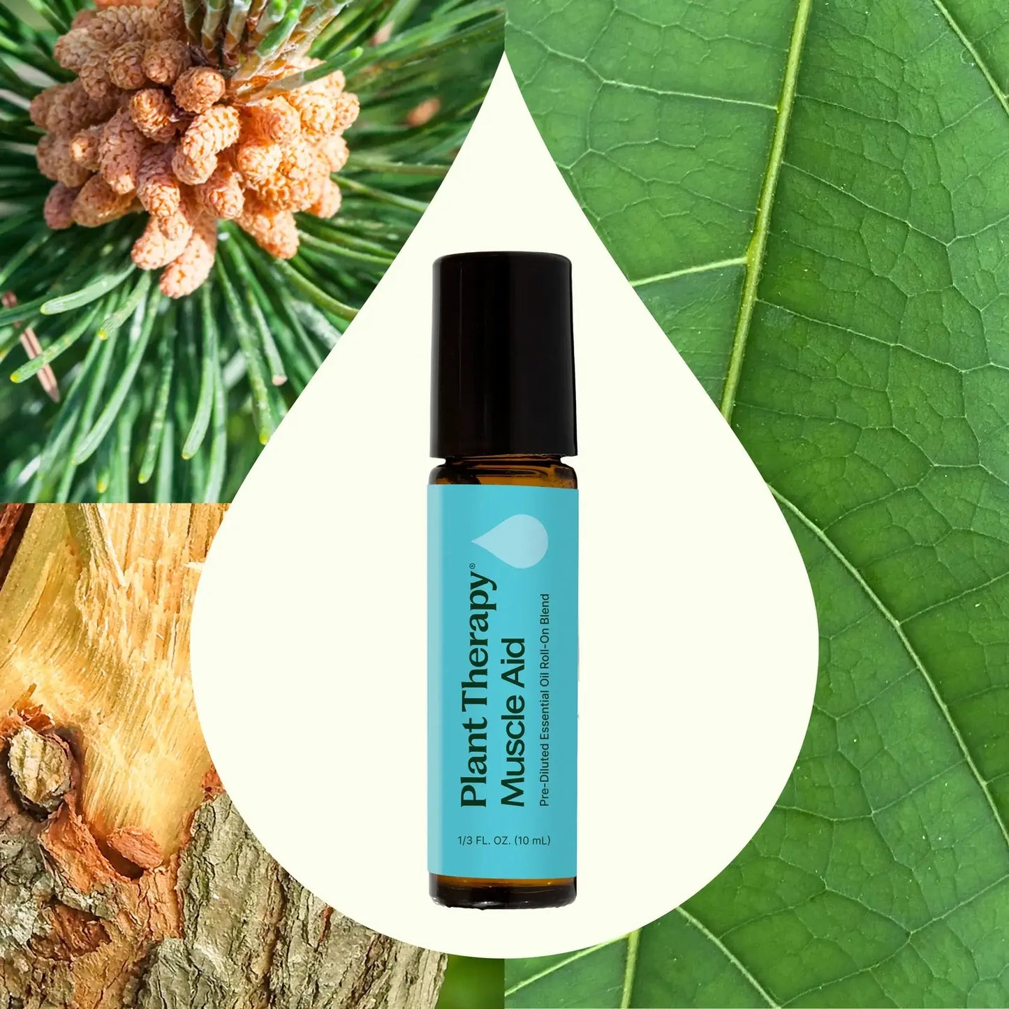 Muscle Aid Essential Oil Blend Pre-Diluted Roll-On 10mL