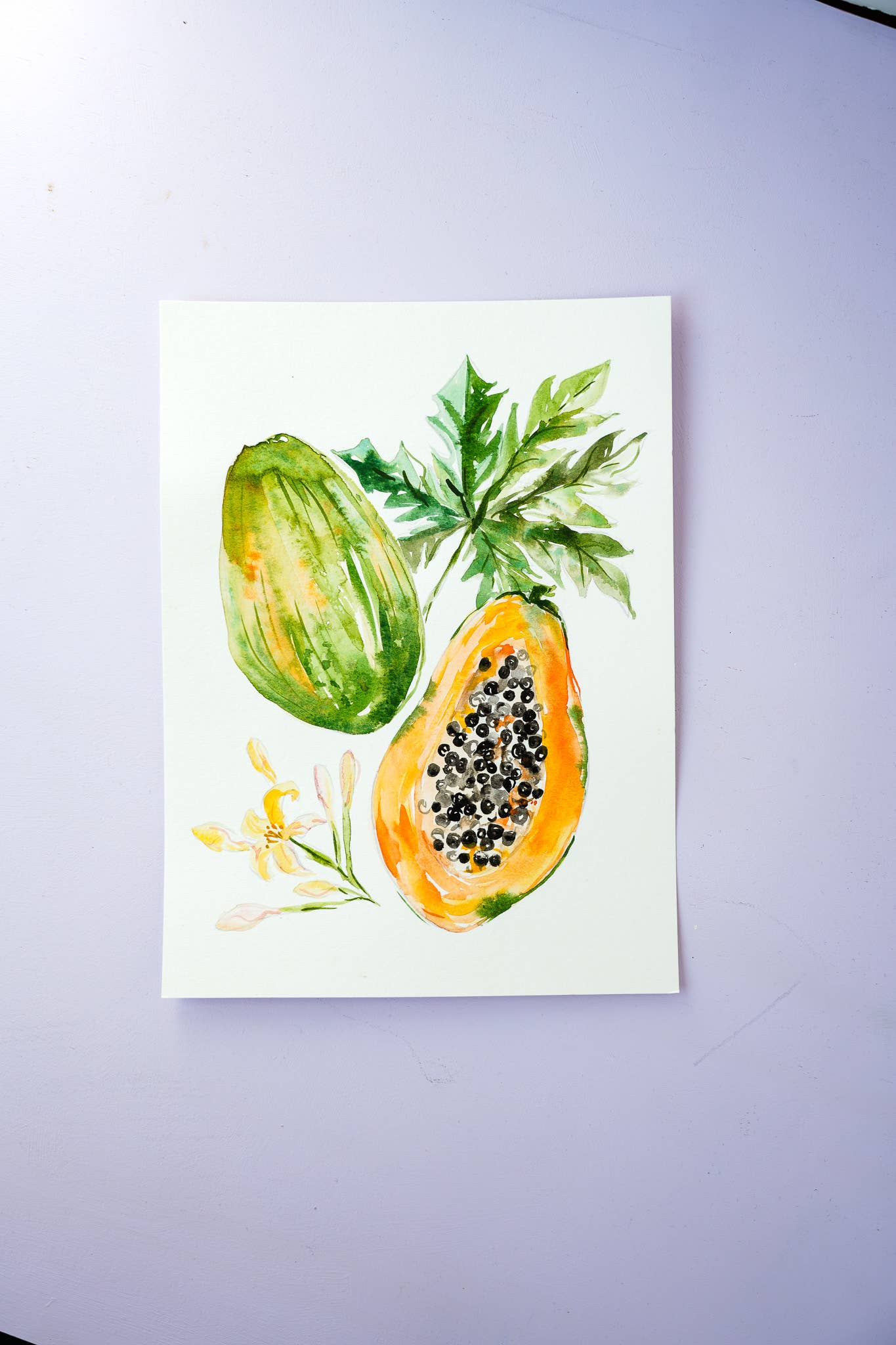 Fruit Watercolor Workbook: Outlined Coloring Pages to Paint