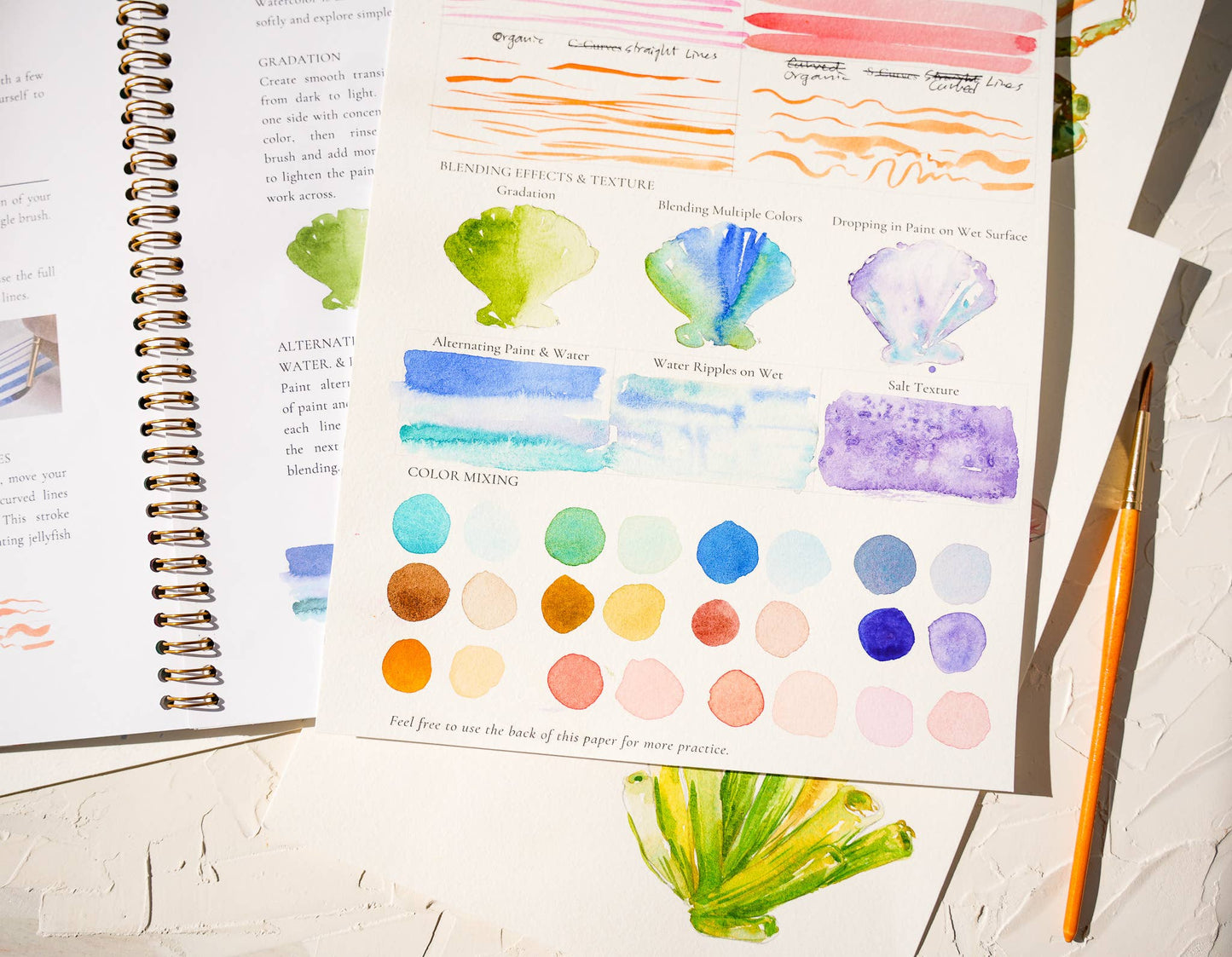 Watercolor Workbook: Seashores & Ocean Outlined Designs