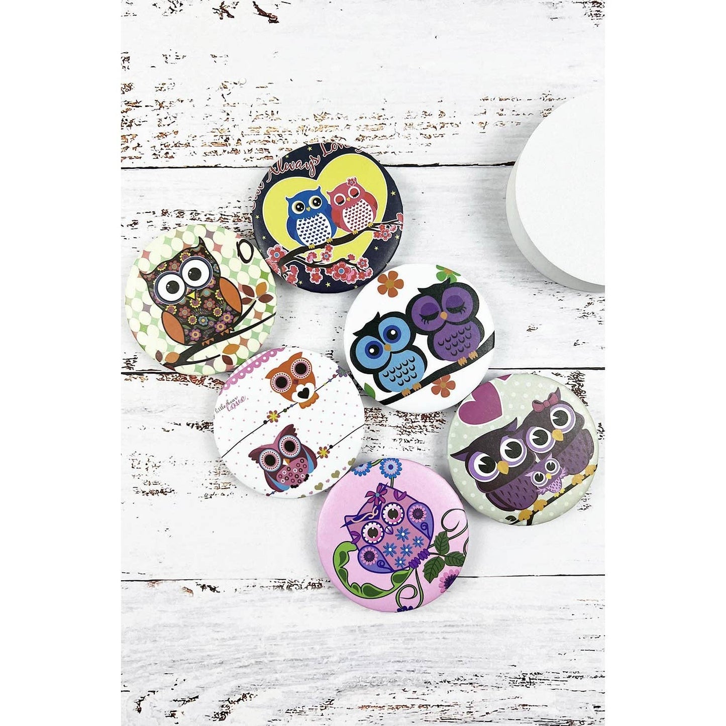 ROUND OWL THEME PRINT MIRROR: ASSORTED / ONE(12)
