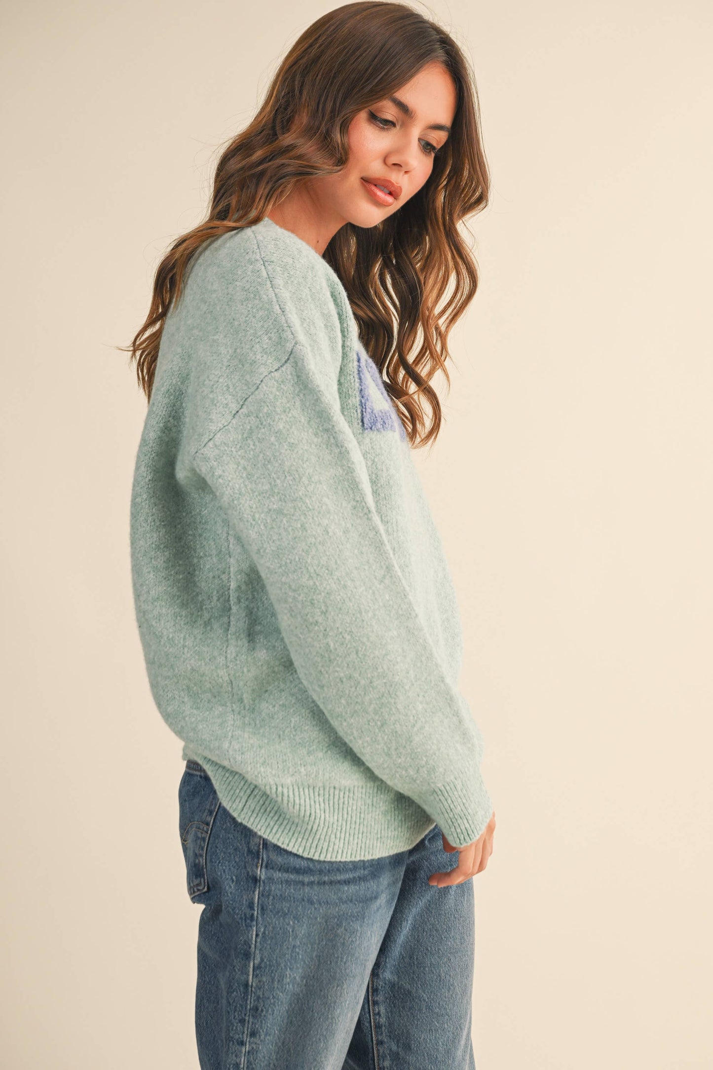IT4433 LOVE COZY SOFT SWEATER TOP: SAGE / L