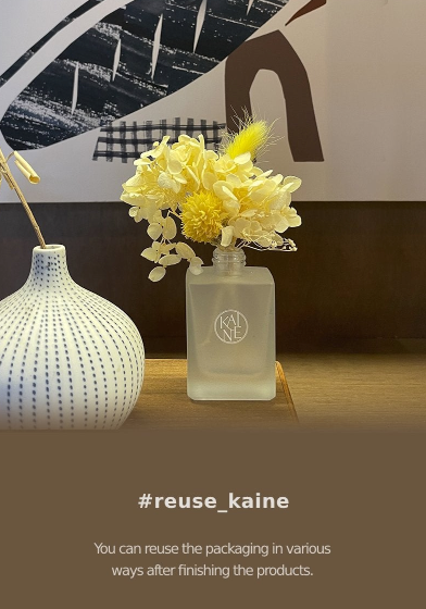 KAINE Vita Drop Serum Vitamin C
